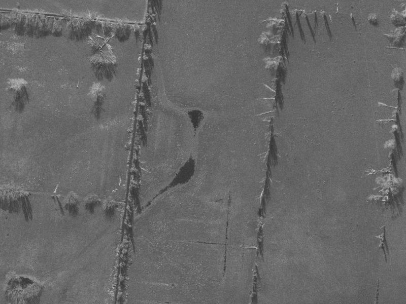 Rebecca Avenue from the air, 1960-1964