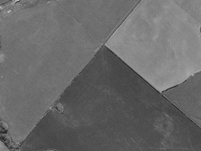 Killarney Avenue from the air, 1960-1964