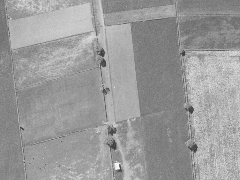 Lorenzos Lane from the air, 1960-1964