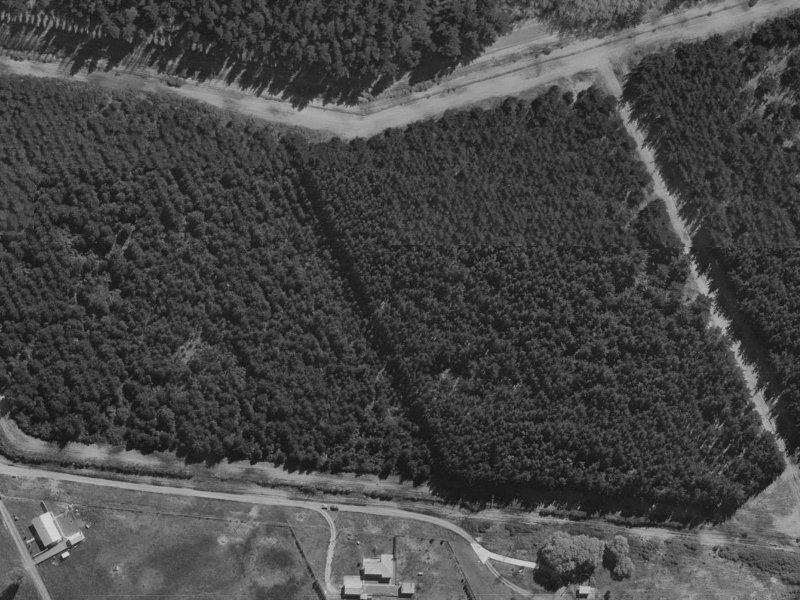 66-56 Farrells Road from the air, 1970-1974
