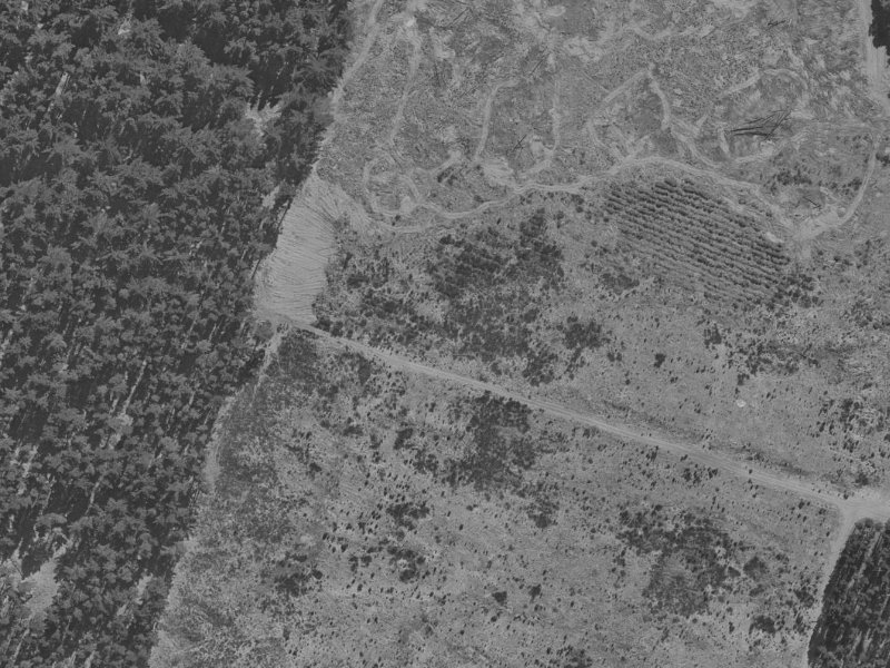 20 Styx River Place from the air, 1970-1974