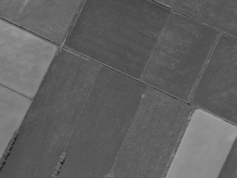 Treedale Street from the air, 1970-1974