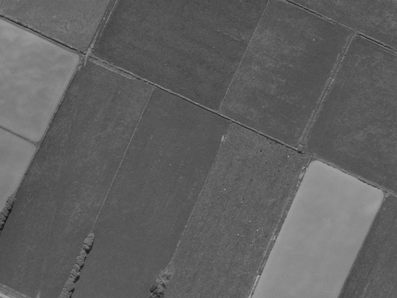 12 Treedale Street from the air, 1970-1974