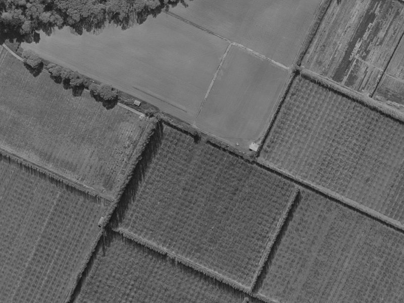 38 Mounter Avenue from the air, 1970-1974