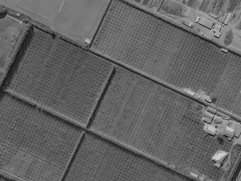 24 Mounter Avenue from the air, 1970-1974