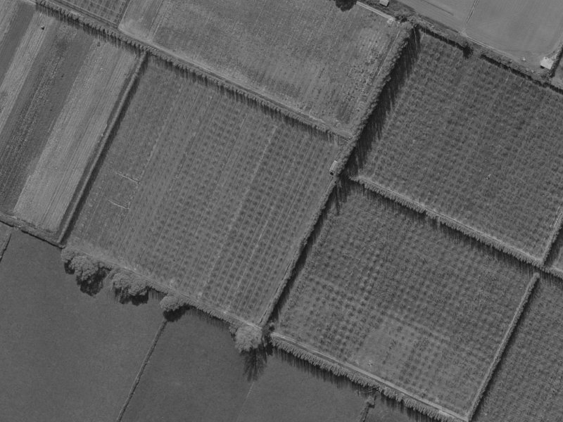 43 Mounter Avenue from the air, 1970-1974