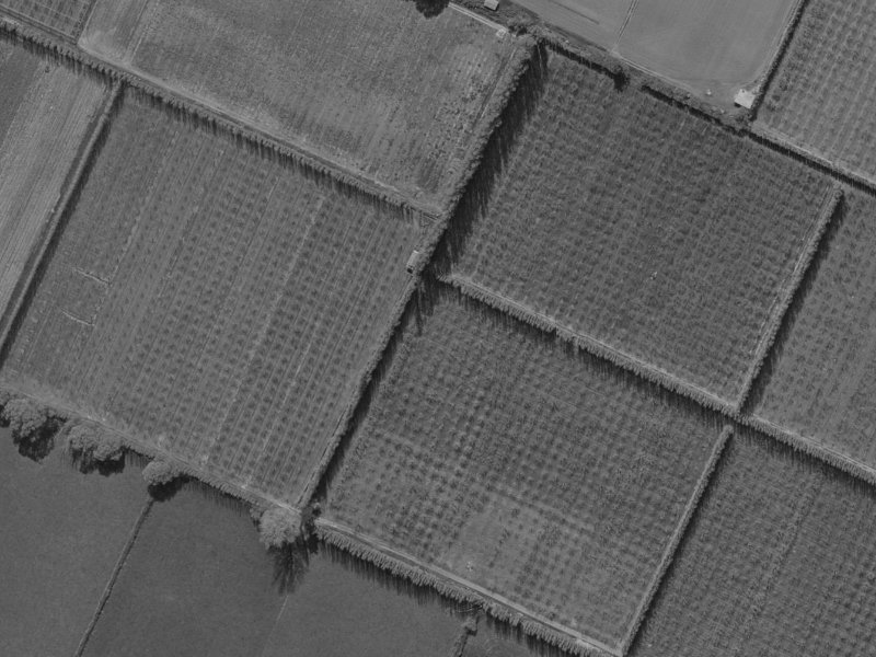 8 Ross Place from the air, 1970-1974