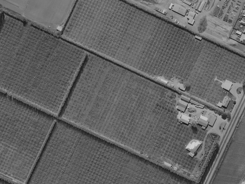 20 Mounter Avenue from the air, 1970-1974