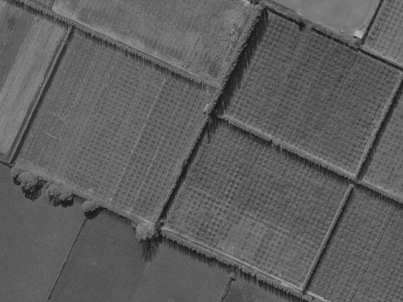 26 Northwood Boulevard from the air, 1970-1974