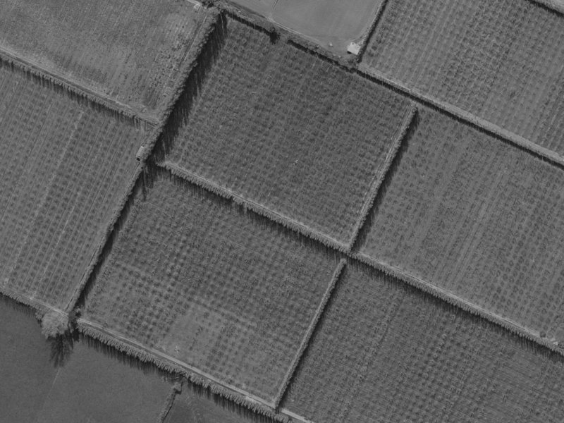 7 Bering Street from the air, 1970-1974