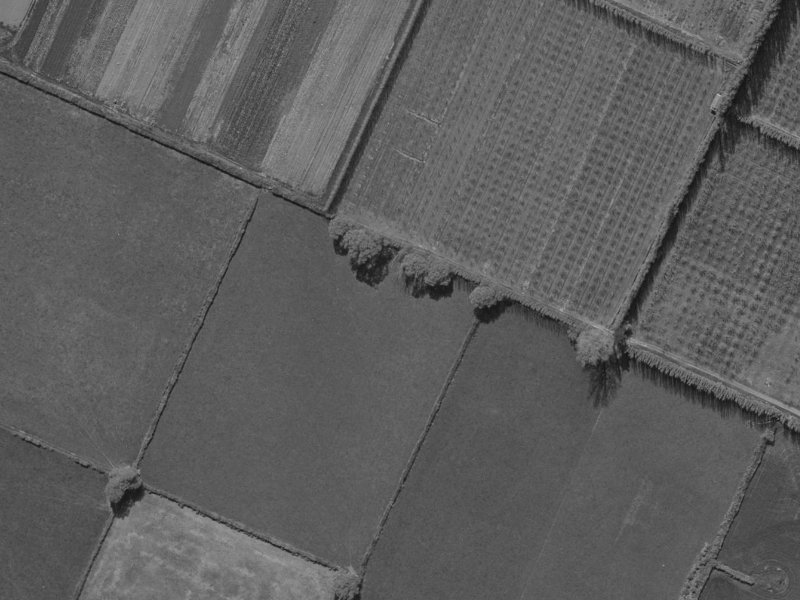 Waterford Avenue from the air, 1970-1974