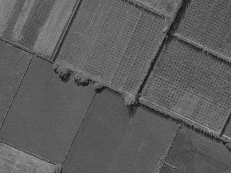 7 Waterford Avenue from the air, 1970-1974