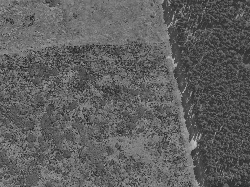 27 Forest Drive from the air, 1970-1974