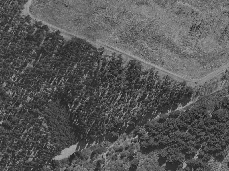 Regalwood Close from the air, 1970-1974