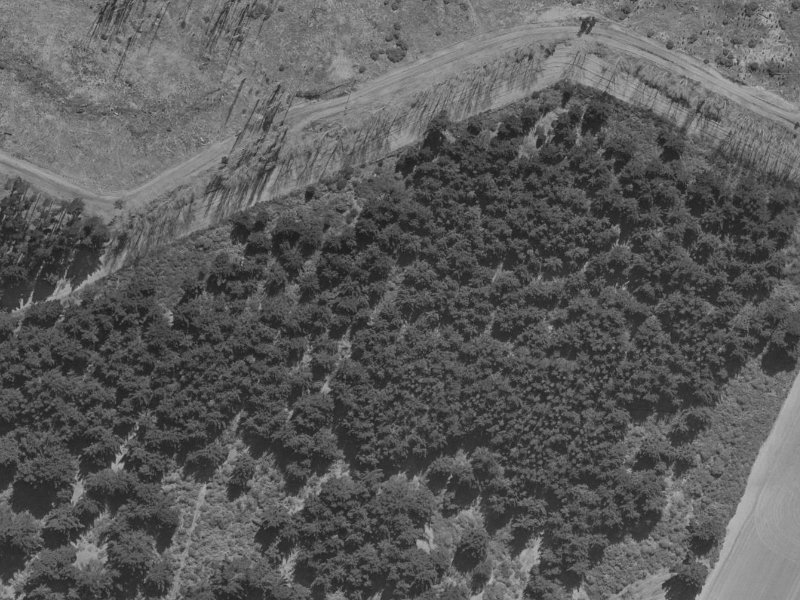 268 Queenspark Drive from the air, 1970-1974