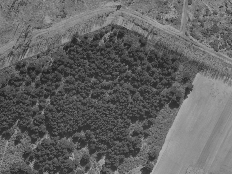 72 Anglesea Avenue from the air, 1970-1974