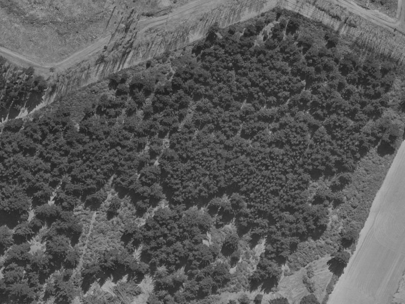 73–77 Anglesea Avenue from the air, 1970-1974
