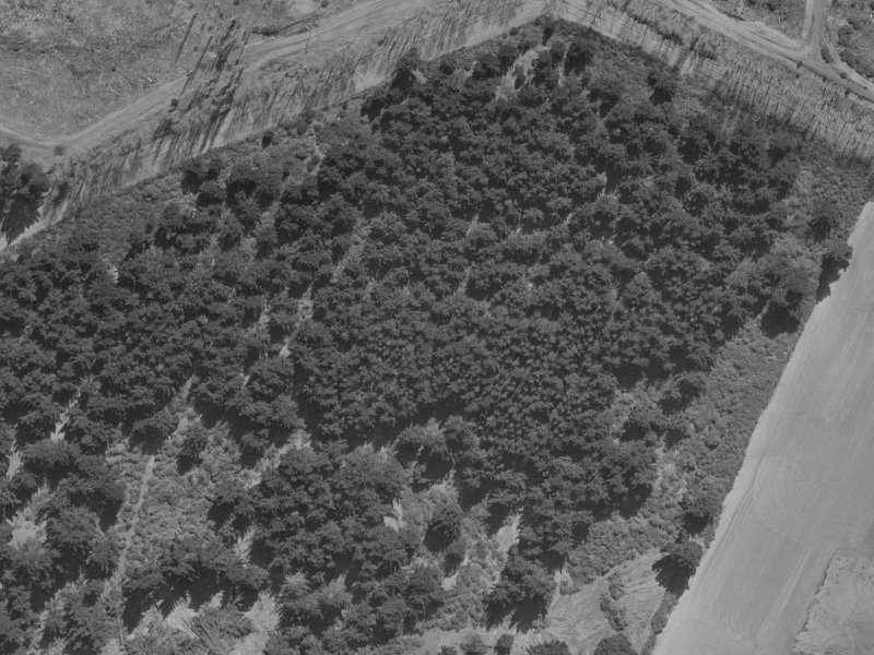77 Anglesea Avenue from the air, 1970-1974