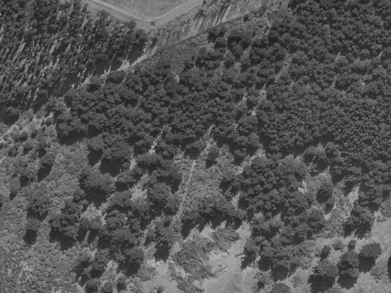 172 Royal Park Drive from the air, 1970-1974