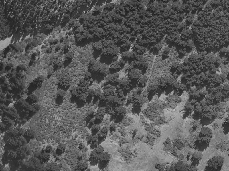 6 Forest Park Place from the air, 1970-1974