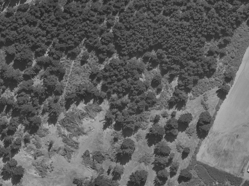 252 Queenspark Drive from the air, 1970-1974