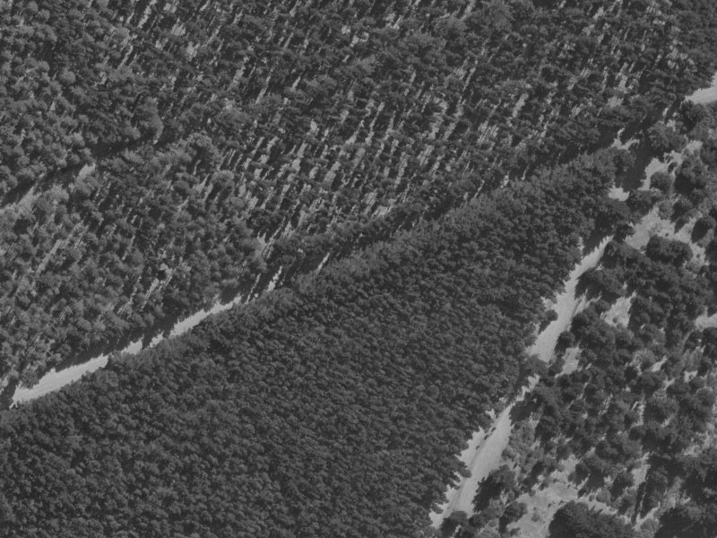 25 Kohi Drive from the air, 1970-1974
