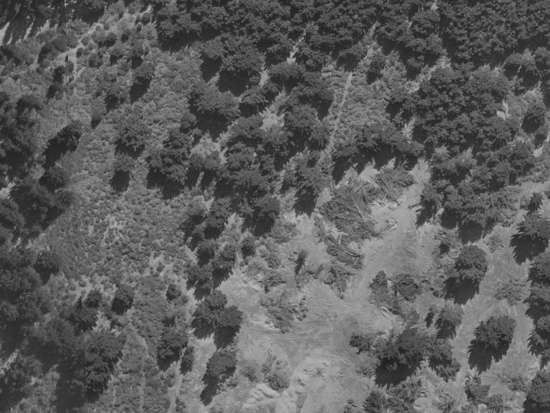 Forest Park Place from the air, 1970-1974