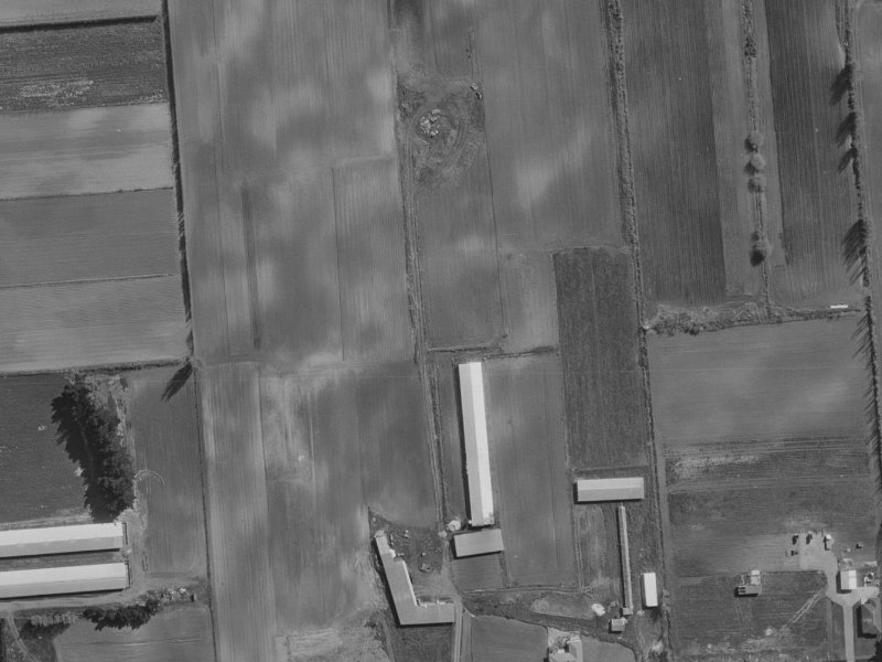 3 Te Aika Street from the air, 1970-1974