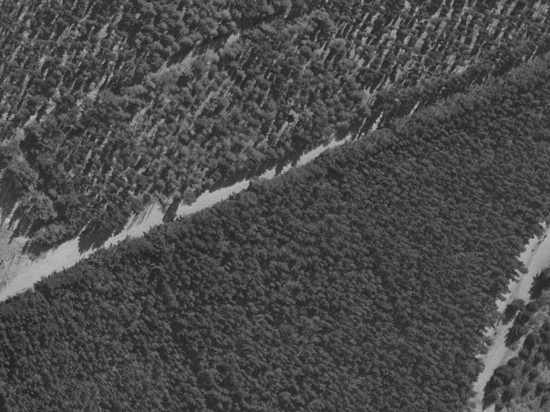 45 Ruahine Place from the air, 1970-1974
