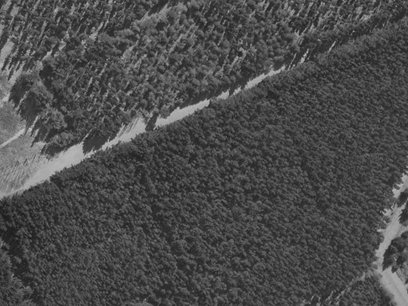 41 Ruahine Place from the air, 1970-1974