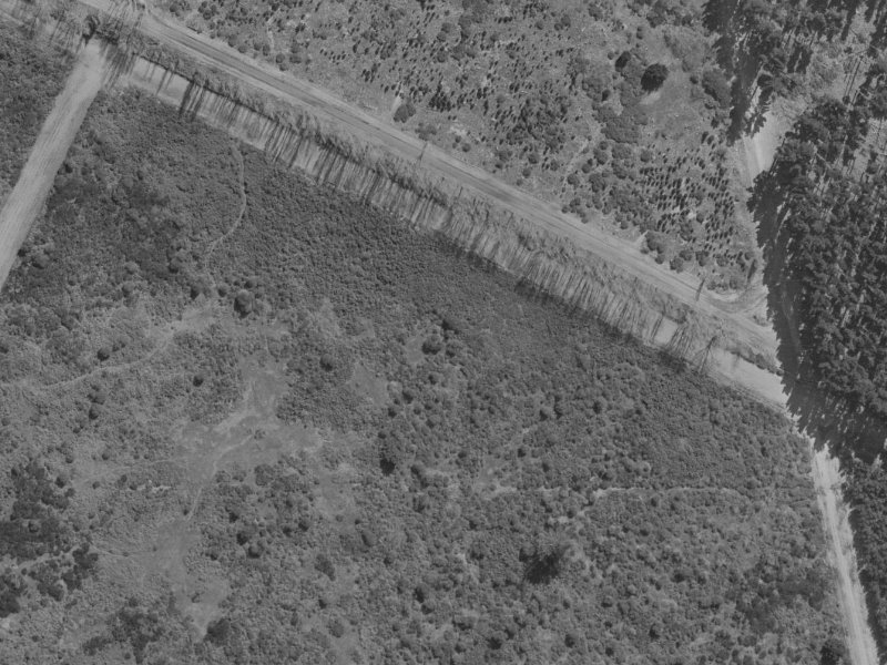 49 Forest Drive from the air, 1970-1974