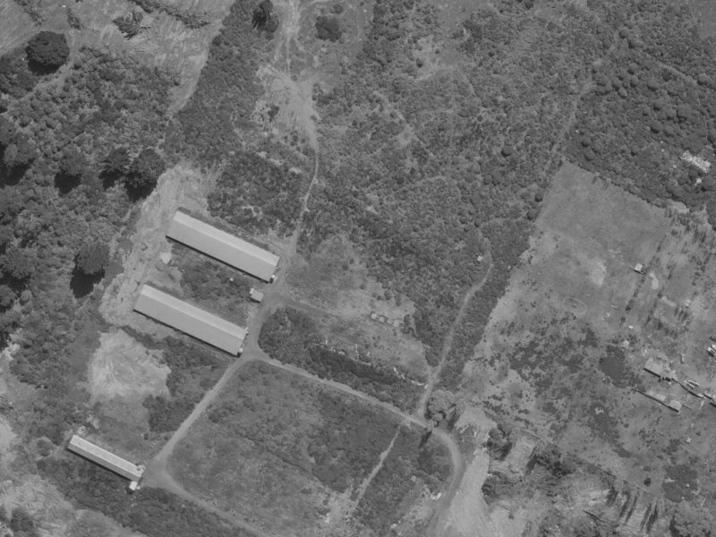 Radiata Avenue from the air, 1970-1974