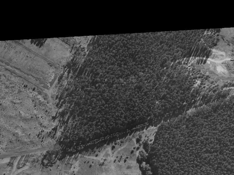 34 Pohutukawa Crescent from the air, 1970-1974