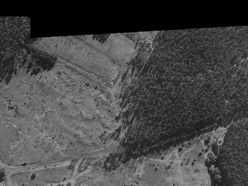 55 Pohutukawa Crescent from the air, 1970-1974
