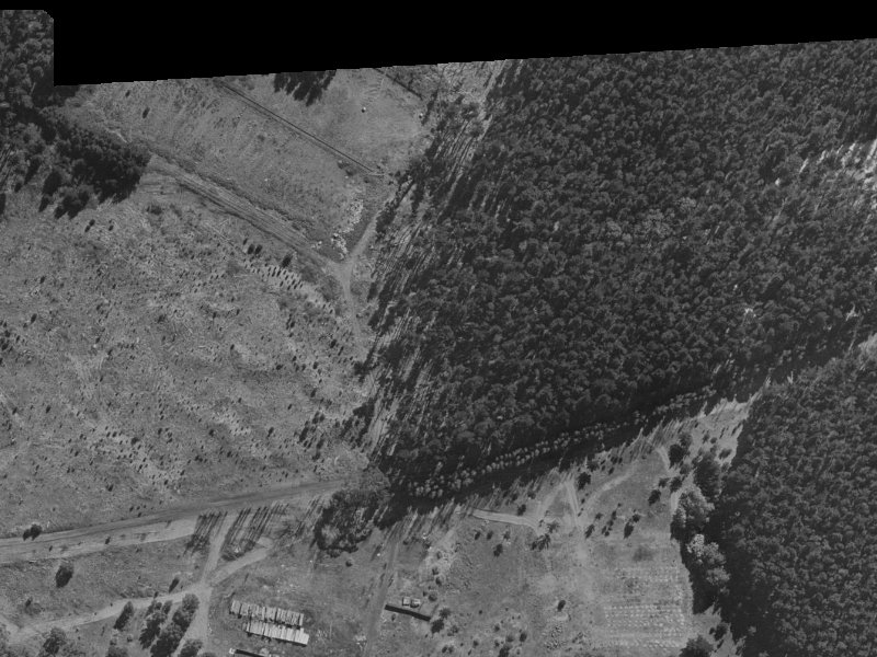 40E Pohutukawa Crescent from the air, 1970-1974