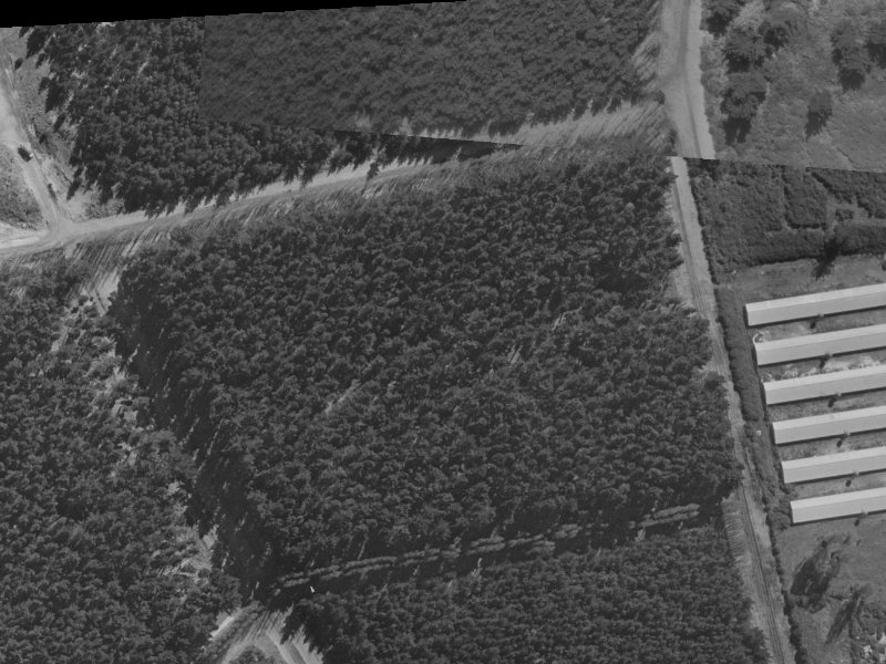 9 Mahuri Street from the air, 1970-1974