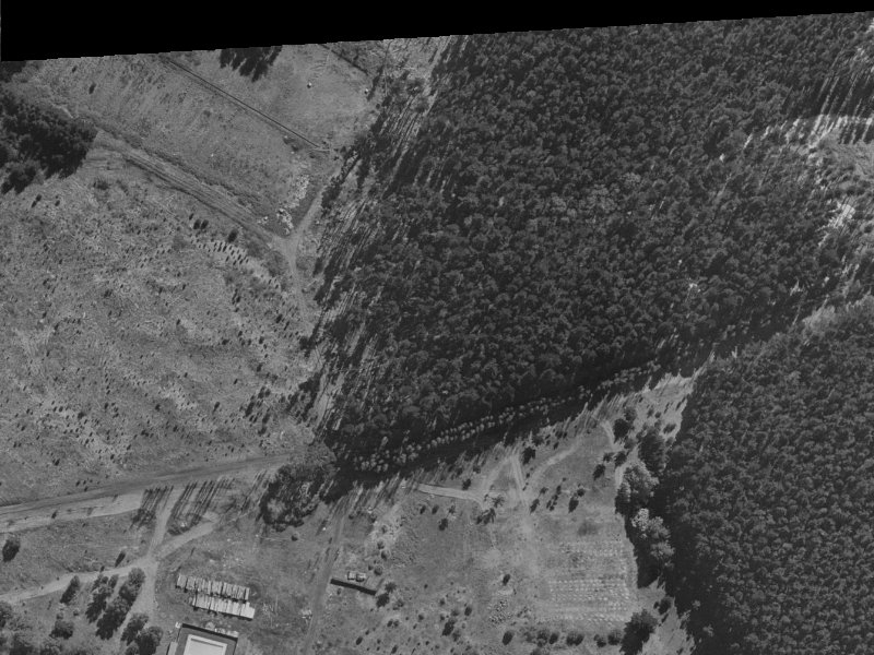 51 Pohutukawa Drive from the air, 1970-1974
