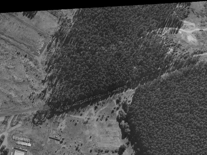 41 Pohutukawa Crescent from the air, 1970-1974