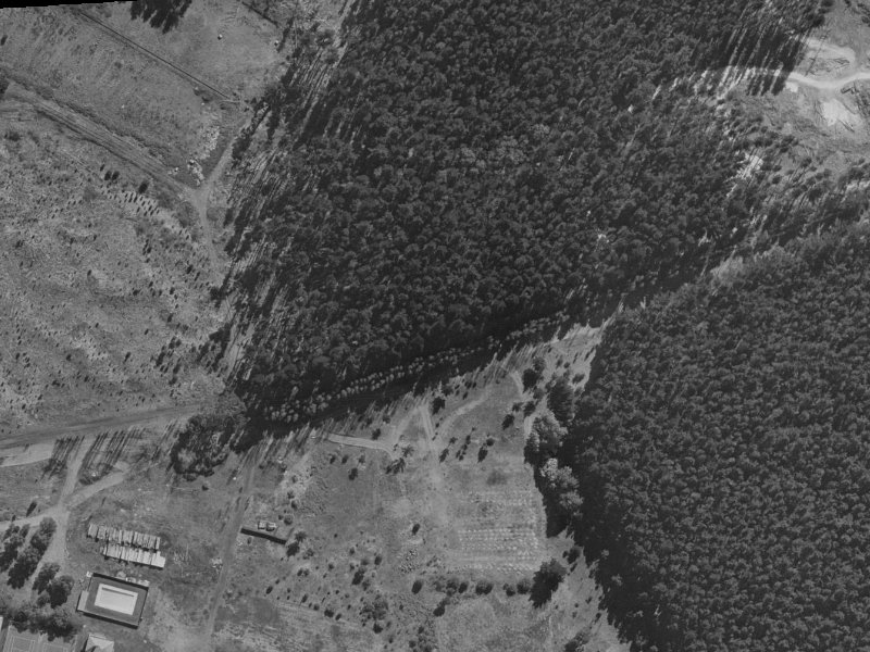 43 Pohutukawa Crescent from the air, 1970-1974
