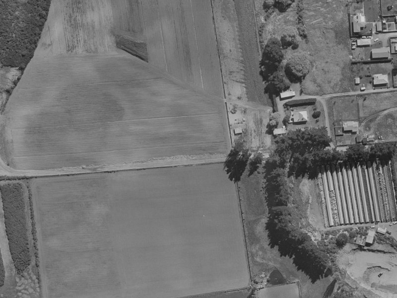 26 Cameo Grove from the air, 1970-1974
