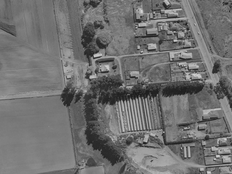 Cameo Grove from the air, 1970-1974