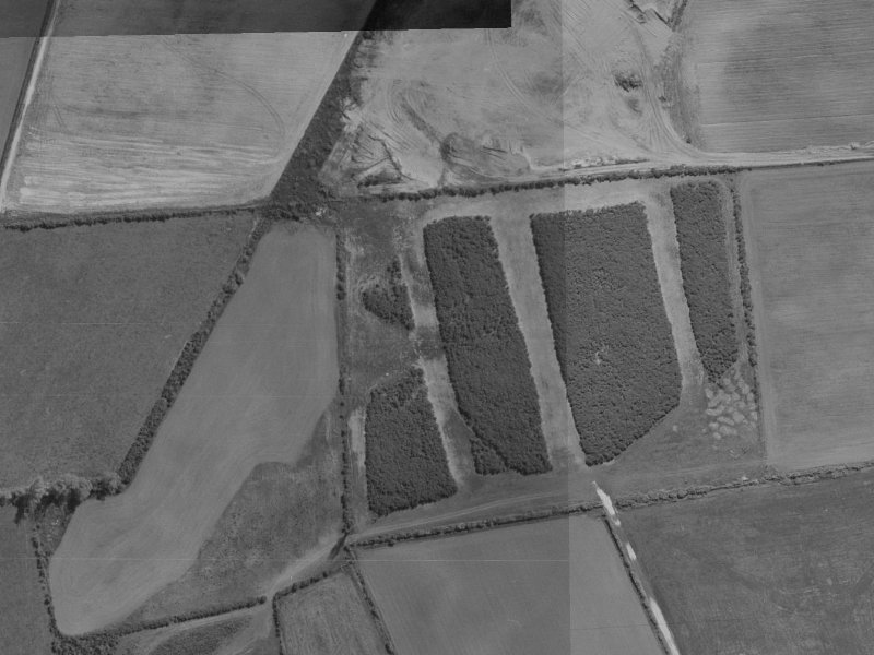 53 Cameo Grove from the air, 1970-1974