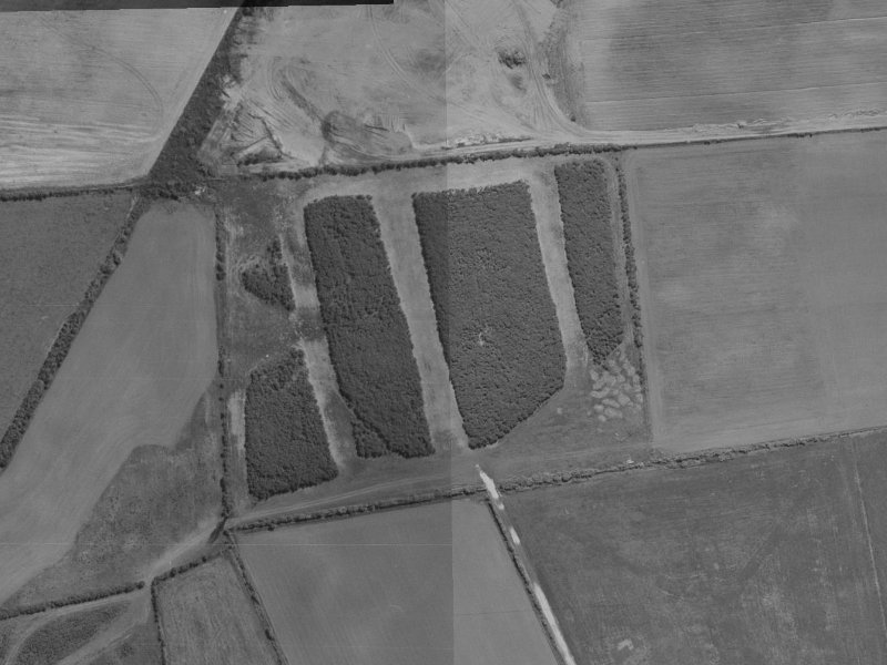 49 Cameo Grove from the air, 1970-1974
