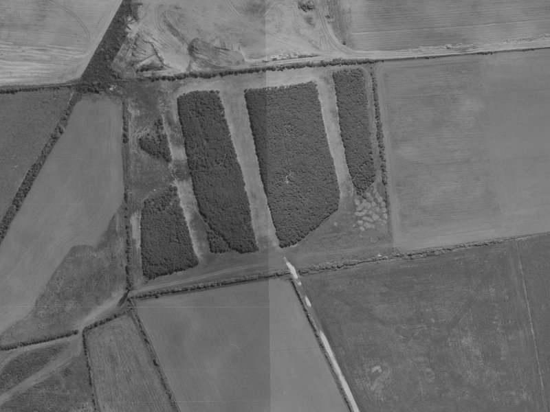 Cameo Grove from the air, 1970-1974