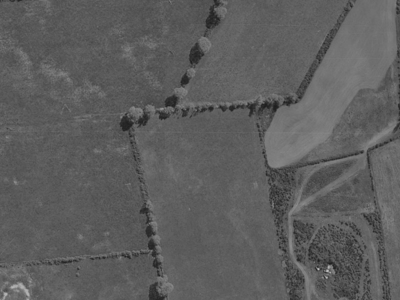 81R Aviemore Drive from the air, 1970-1974