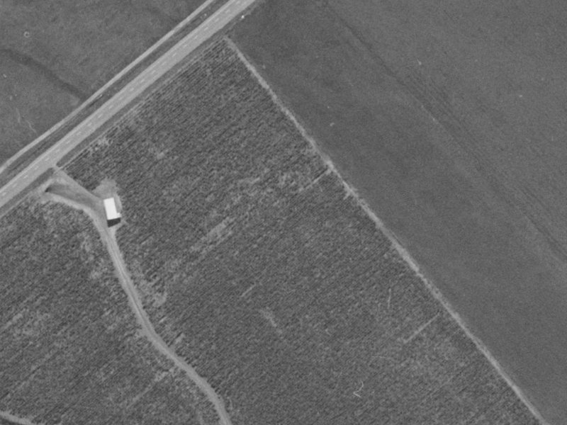 Longspur Avenue from the air, 1970-1974