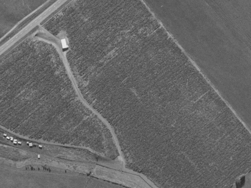 4 Longspur Avenue from the air, 1970-1974