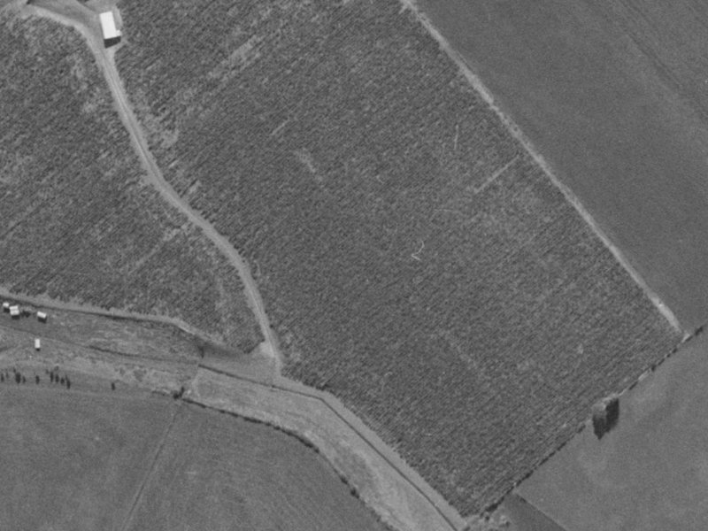 32 Longspur Avenue from the air, 1970-1974