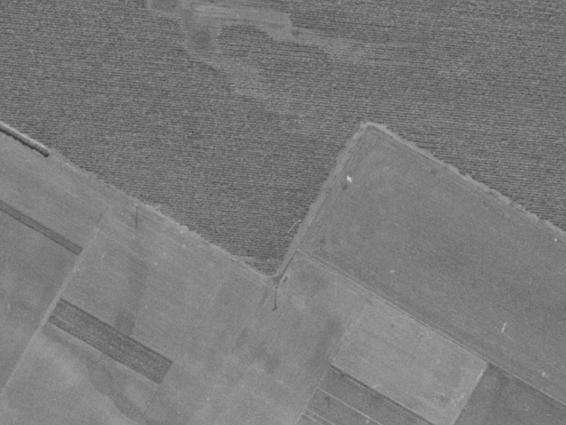 17 Sir James Wattie Drive from the air, 1970-1974