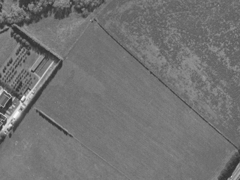 6 Phelan Place from the air, 1970-1974